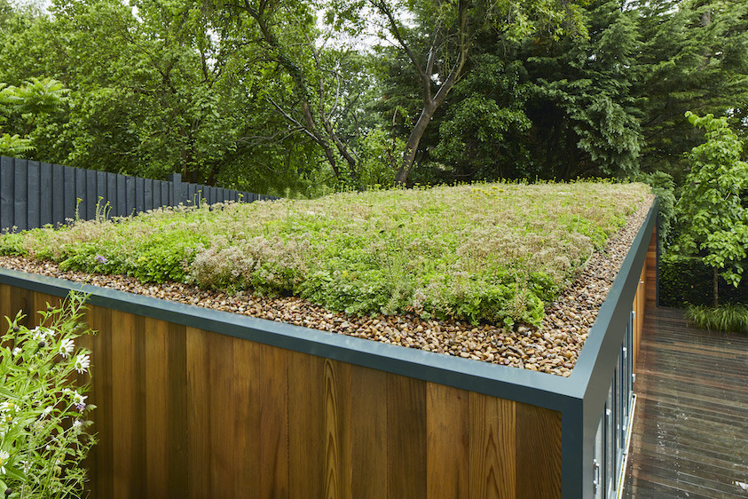Biophilic garden office with green roof