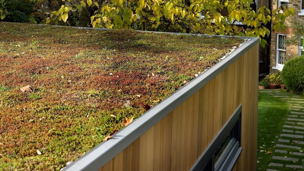 Green roof for a Cuberno garden room