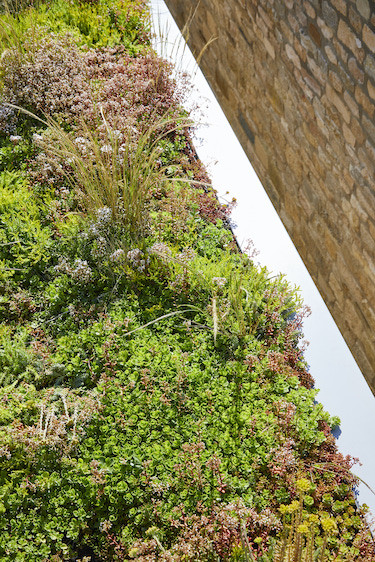 Green roof for a garden room