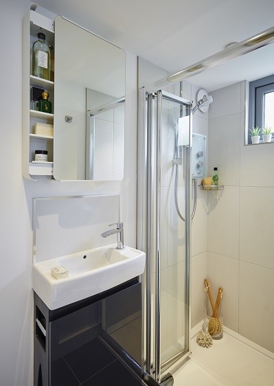 Garden room with a standard shower room design