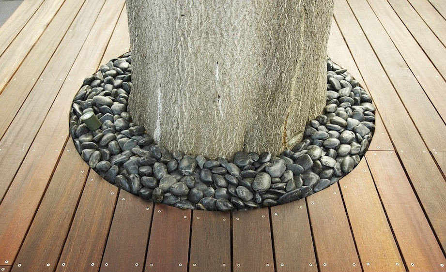 Garden room deck design with tree